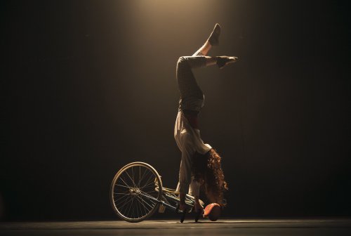 LA BÊTE NOIRE & PETITE REINE