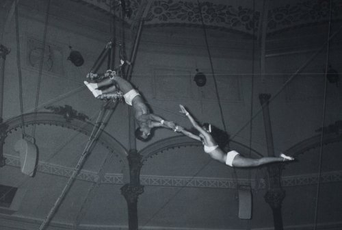 SUZANNE : UNE HISTOIRE DE CIRQUE